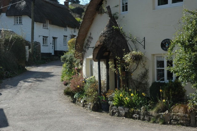 dog friendly pub seaton