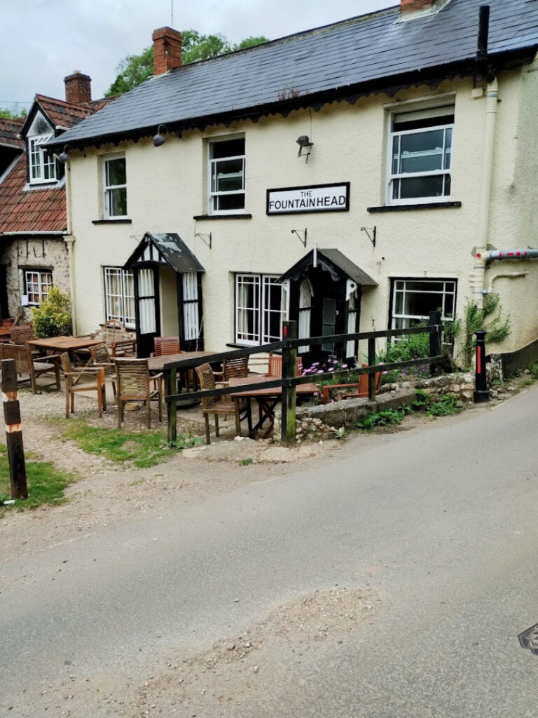 pubs that accept dogs seaton