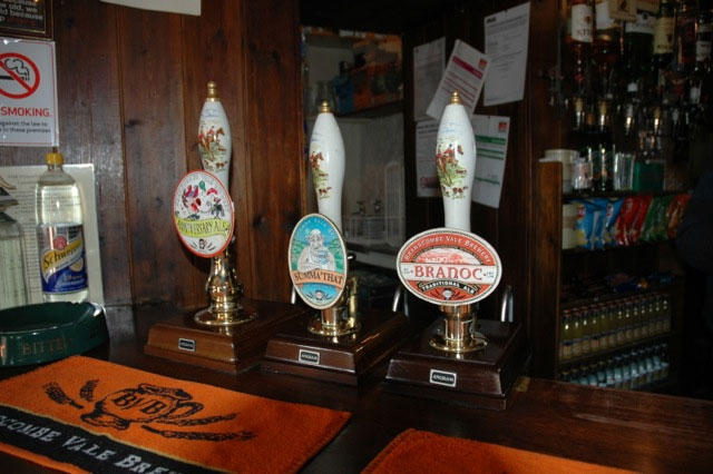 dog friendly pub seaton